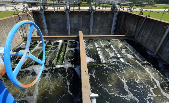 "We can get exposure through simple actions like drinking water, doing laundry or watering plants."