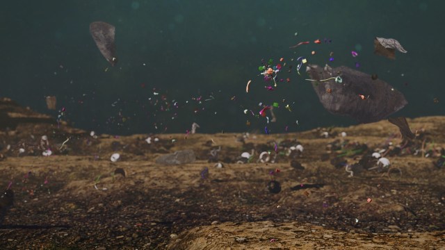 "A national roadmap informed by international developments is not only timely but necessary."