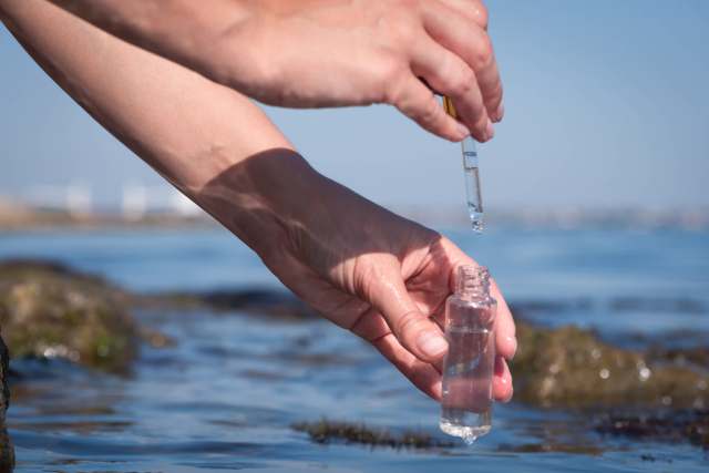 Researchers called for long-term studies to better understand the impact.