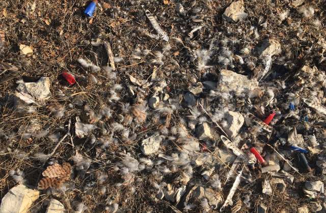 "The scale of it is intense."