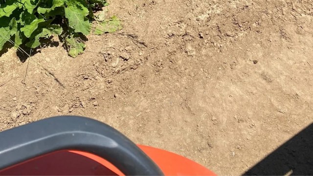 In addition, the farm owner noted that a mama fox created a fox den on the land.
