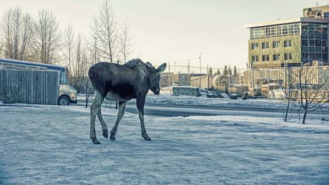 "Why would anyone even do that?"