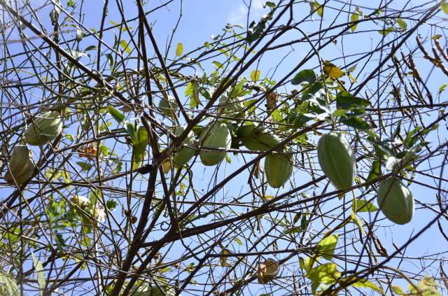 "Wow, you guys really care about your environment."