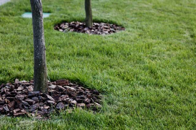 "Thanks for letting people know."