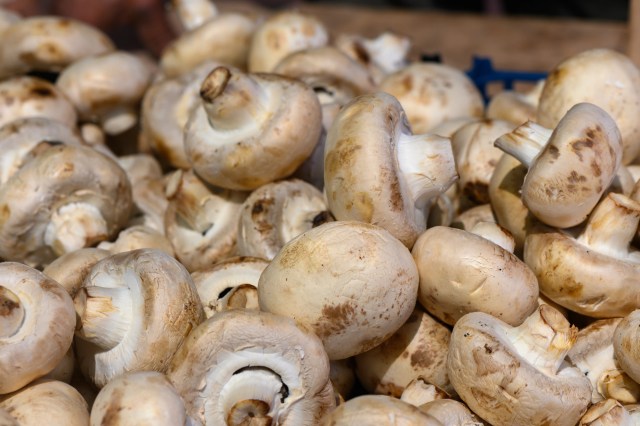 It also reduced the amount of antibiotic-resistant genes and other organic pollutants.