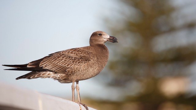 "To witness it first-hand, it is incredibly visceral."