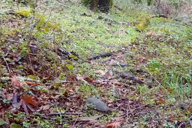 "What a wonderful moment we get to see."