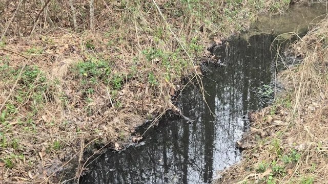"He's effectively poisoning the water table in that entire area."