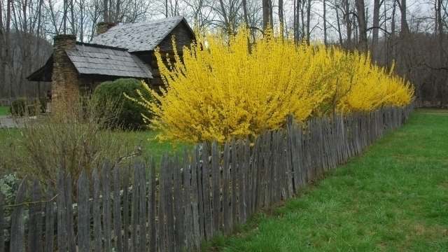 "They scorched the earth."