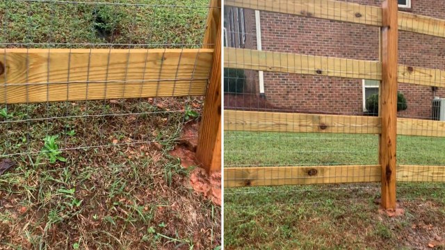 "Start with talking to your neighbor."