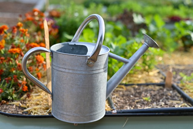 "You have a good path forward."