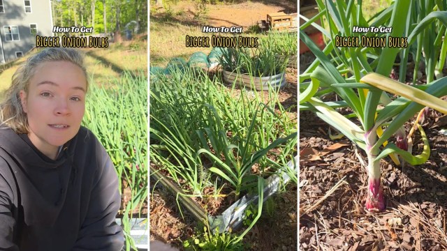 "Thank you so much for your help!"