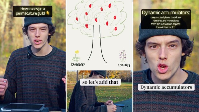 "Now I want to learn more about this."