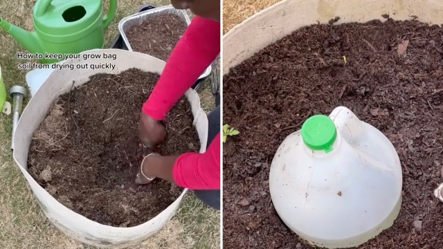 Comments on the post were filled with applause for the creative, low-cost solution.