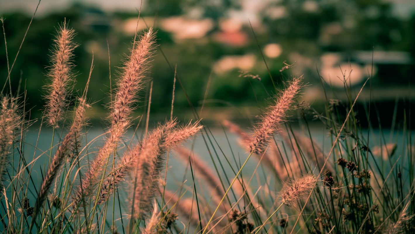 Allergy season in North America is already starting up to 20 days earlier than it did in 1990.