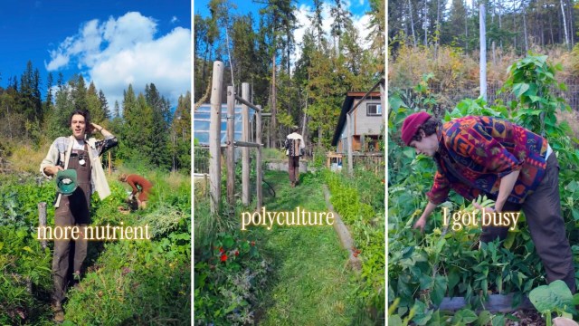 "Plants will compete for sunlight, plants will compete for nutrients, but a lot of that is pretty overstated."