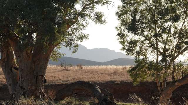 The study is only a month old, but the researchers made several suggestions for future conservationists.