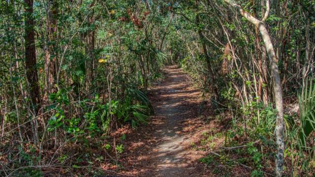 "The Everglades is fighting back. That gives me hope."