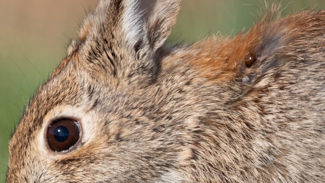 "This wasn't a needle in a haystack."