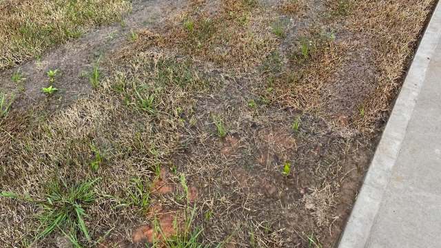 "The first thing I would do to fix that is to remove the HOA."