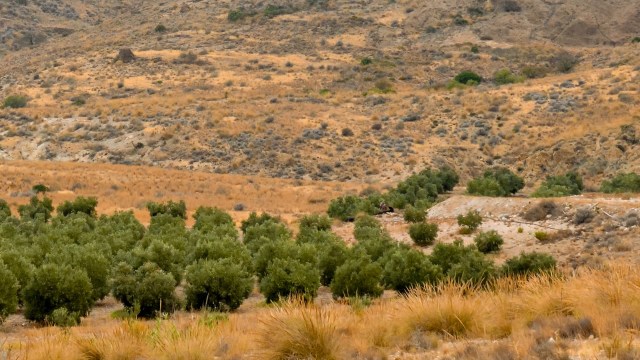 These kinds of sightings are more than just rare moments.