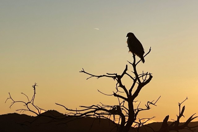 The changes could cause wider issues.