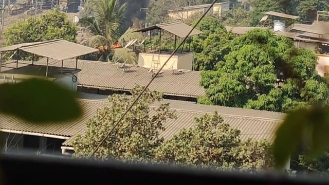 "No one should be able to burn anything."