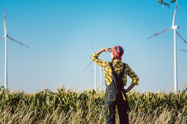 Part of this market growth is thought to be a result of government policies.