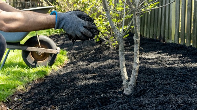 "You're dumping literal garbage in your yard."