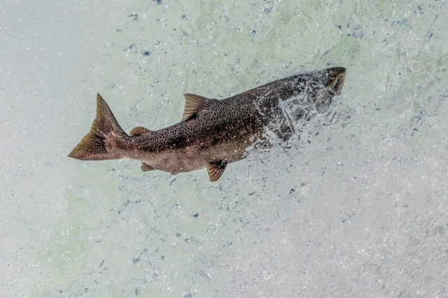 The warning doesn't just apply to one state.