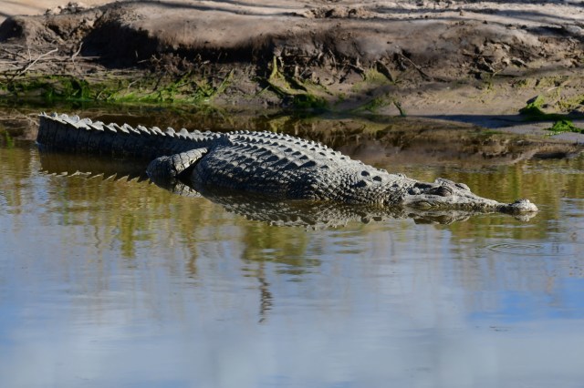 "Love the vids but can’t say I love the contradicting messages about safety."