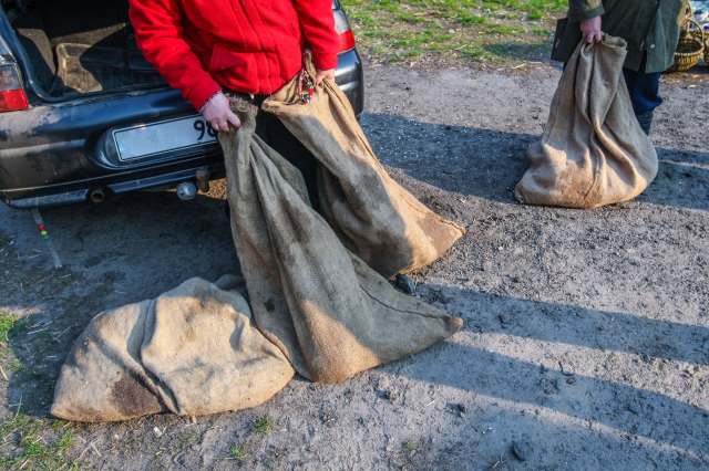 The government is trying to increase awareness about the issue.