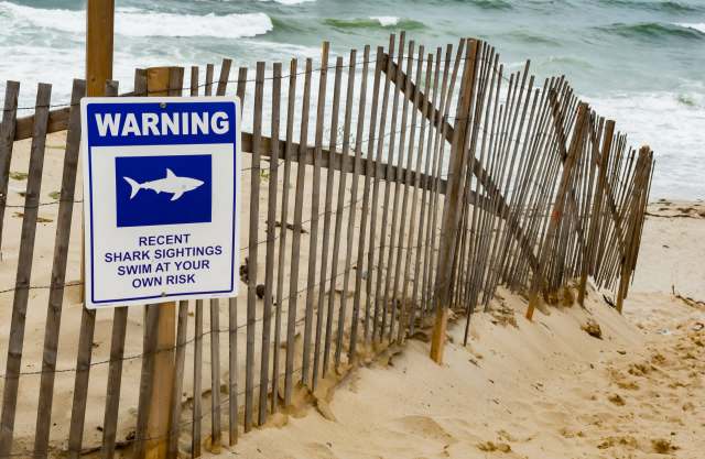 "These bites are simply a manifestation of survival instinct."