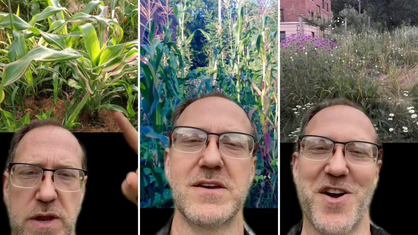 "Set it and forget it."