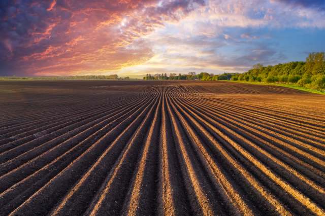 "There is a linkage between tillage reductions, yield increases, and erosion."