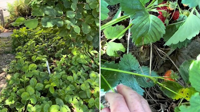 "I've done the same!"