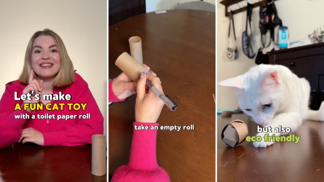 "It can work for other animals as well."