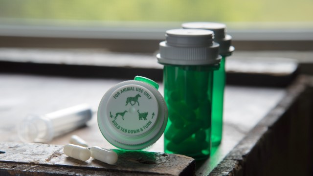 "That is so interesting to see."