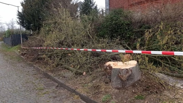 "We still don't know."