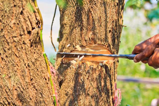 "That is just shady."