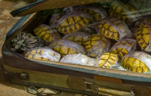 Unfortunately, this isn’t the first time.