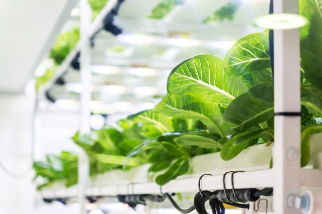 High energy demands and social acceptance remain key barriers to scaling.