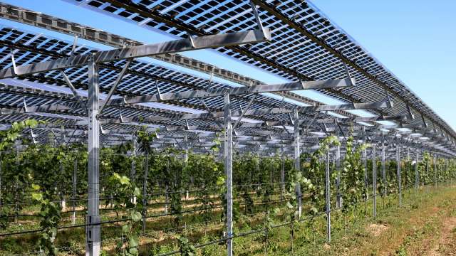 This reminds us that agriculture can be part of the cure.