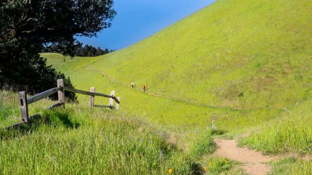 The study, published in the Journal of Wildlife Management, correlates with a study done in Santa Monica.