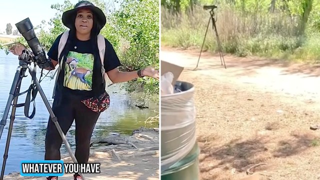 The reserve is a home and sanctuary to a variety of species.