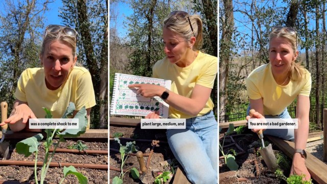 "Plants love growing together."