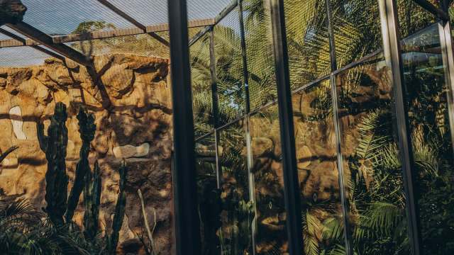 This zoo heist is just the latest in a string of incidents suspected to be the work of an animal trafficking ring.