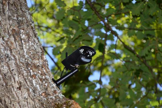 "This is exactly the kind of data we hoped to uncover."