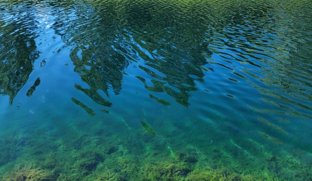 Experts link this crisis to a combination of factors.