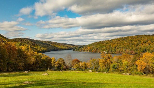 They can be very hard to control.